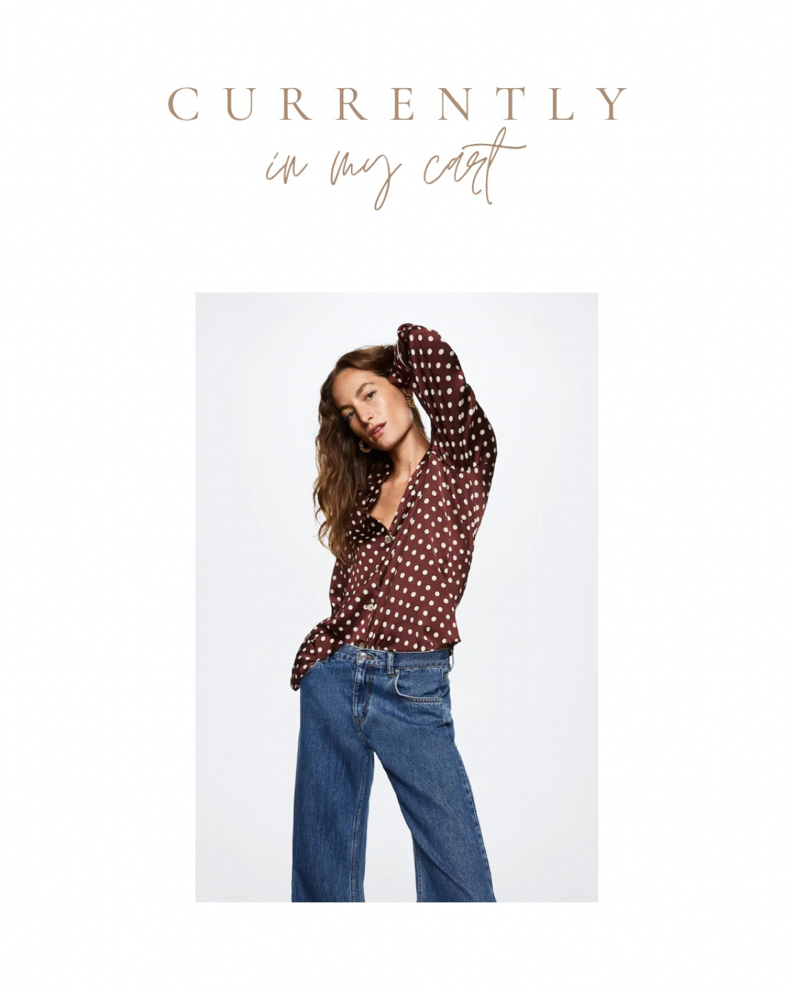 currently in my cart: brown polka pot silk blouse, polka dot shirt - currently on sale for under $40 

#LTKFind #LTKunder50 #LTKsalealert