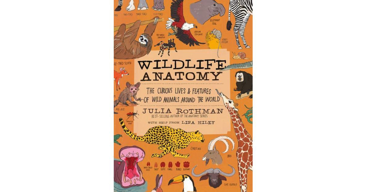Wildlife Anatomy- The Curious Lives & Features of Wild Animals around the World by Julia Rothman | Macy's