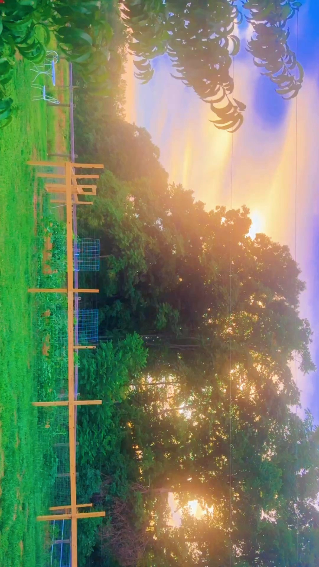 And the garden 🪴 at sunset 🌅 took my breath away… I mean, just look at that view!! 🌳🌾