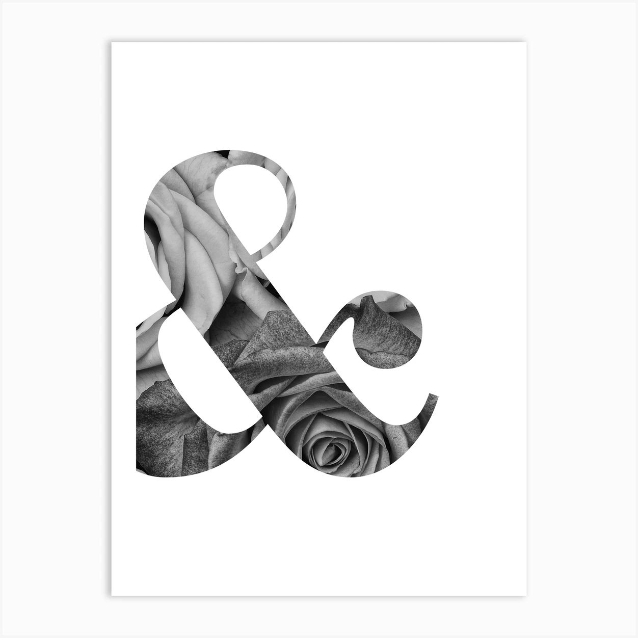 Ampersand Roses Art Print | Fy! (UK)