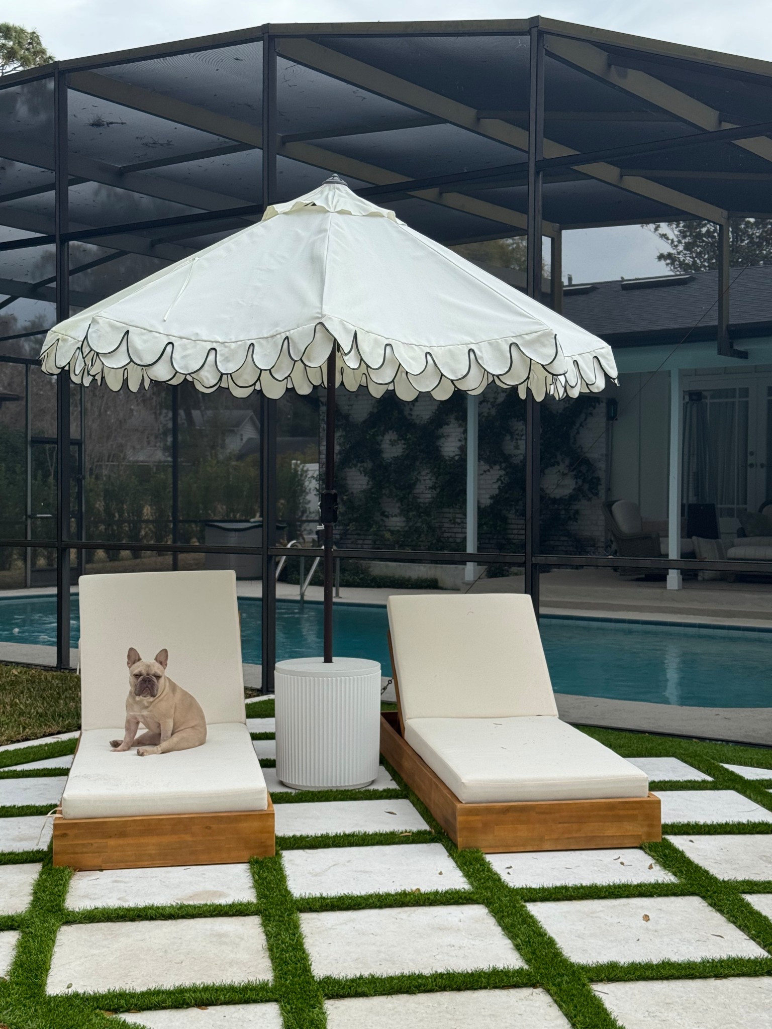 Patio Chaise lounge chairs, umbrella and table on sale! Frenchie not included

#LTKSaleAlert #LTKHome #LTKSeasonal