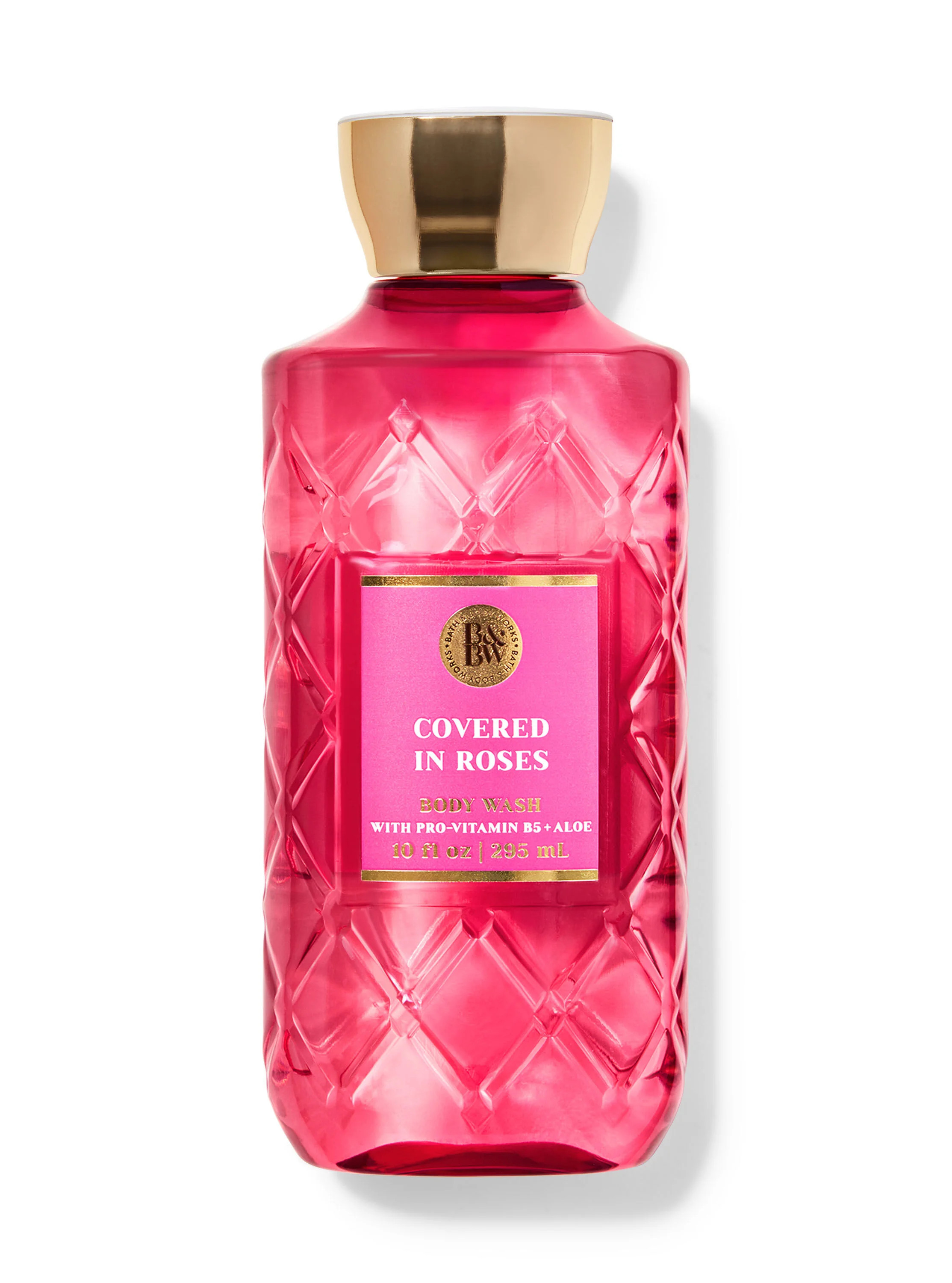 Covered In Roses


Body Wash | Bath & Body Works