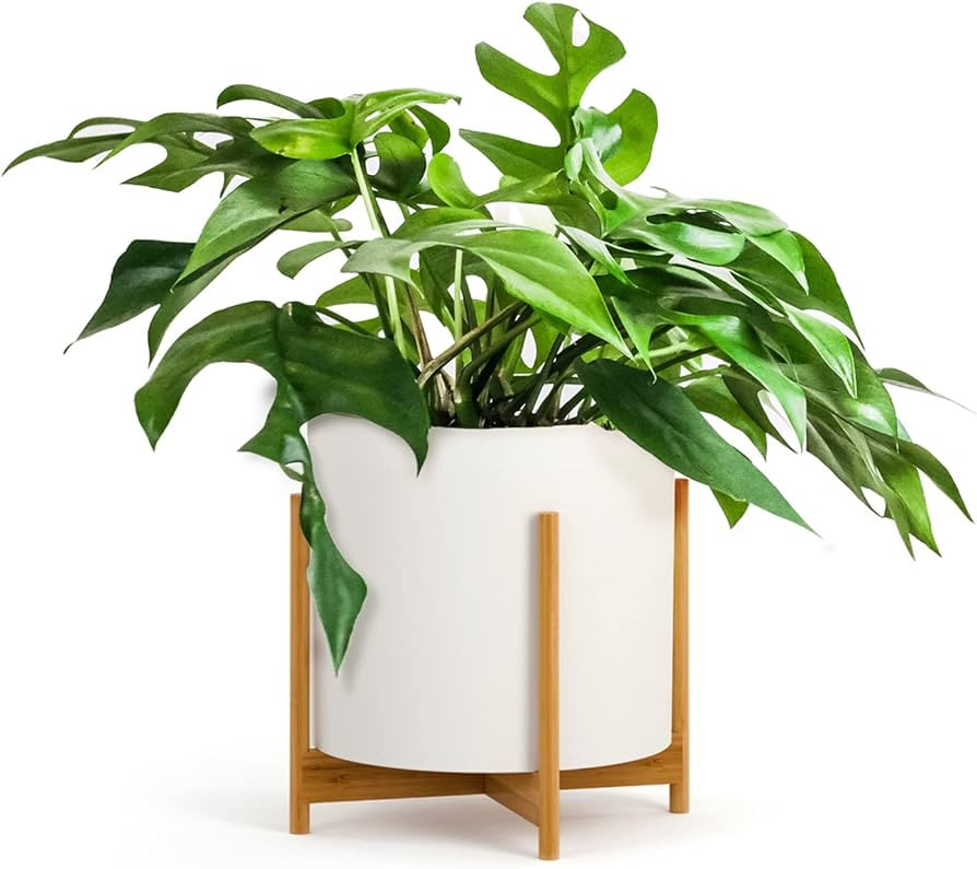 Fox & Fern Mid Century Modern Plant Stand, Plant Stand Indoor, Indoor Plant Stand, Plant Stands f... | Amazon (US)