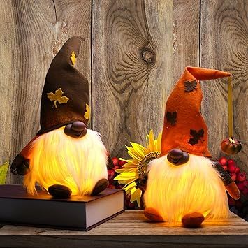 Likeny for Fall Decor-2Pcs Thanksgiving Gnomes Doll.Fall Decorations for Home.Decor for LED gnome... | Amazon (US)