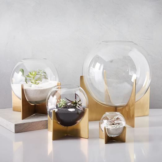Cross Base Terrariums - Antique Brass | West Elm (US)