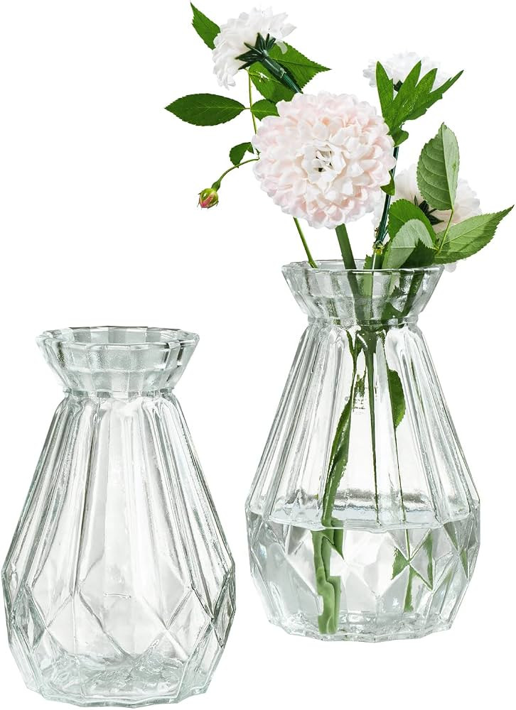 MyGift Small Glass Bud Vase, 5 Inch Decorative Flower Vases, Mini Vintage Style Centerpiece Vases... | Amazon (US)