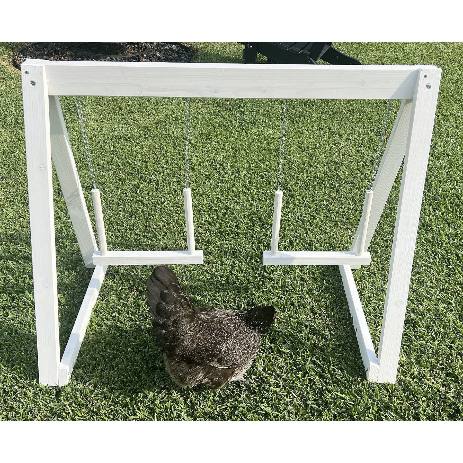 Zylina Play-N-Roost Bird Double Swing, 36x20-in | Chewy