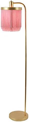 Decor Therapy PL4341 Framboise Fringe Shade Floor Lamp, Gold Leaf with Pink Shade - - Amazon.com | Amazon (US)