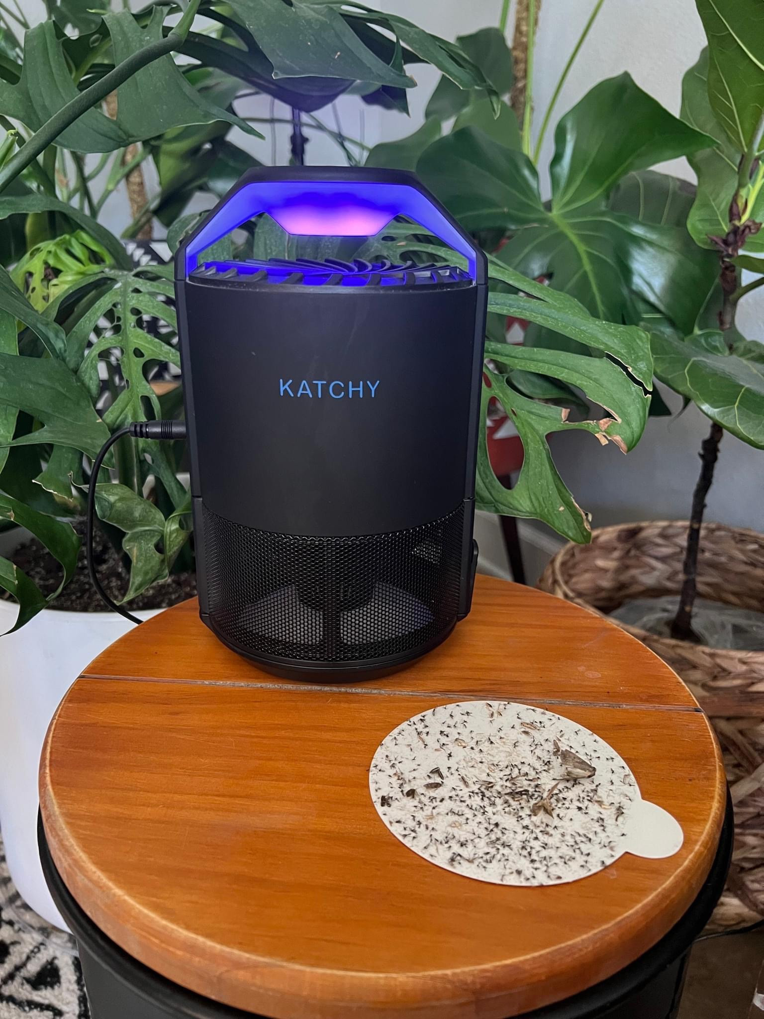 The Katchy indoor insect trap is on sale for 30% off