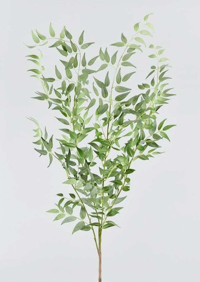 Faux Italian Ruscus Spray - 46" | Afloral
