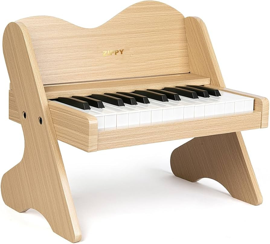 ZIPPY Kids Piano Keyboard, 25 Keys Digital Piano for Kids, Volume Adjustable, Mini Music Educatio... | Amazon (US)