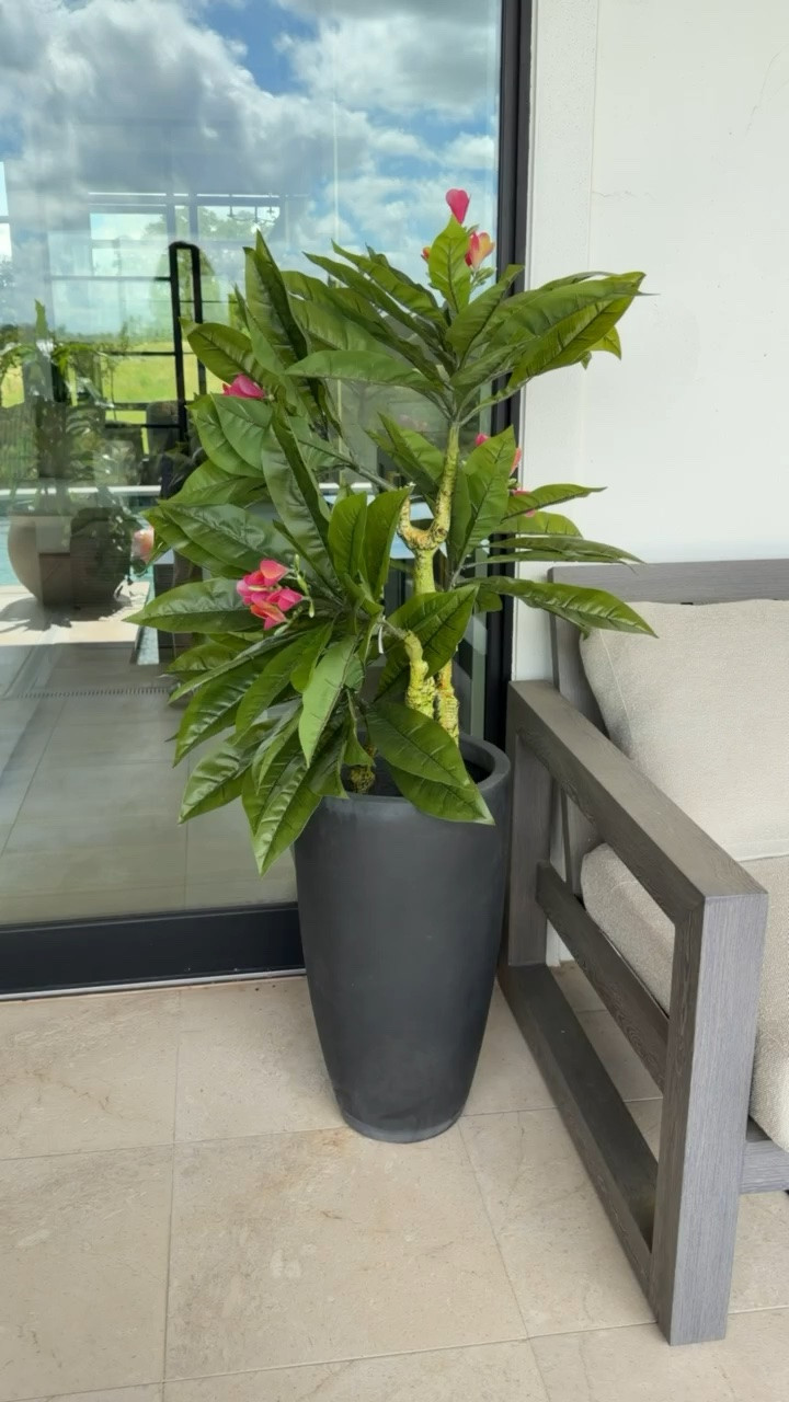 Artificial plants are my new obsession 🪴 🫶🏻

#LTKHome #LTKOver40 #LTKSeasonal