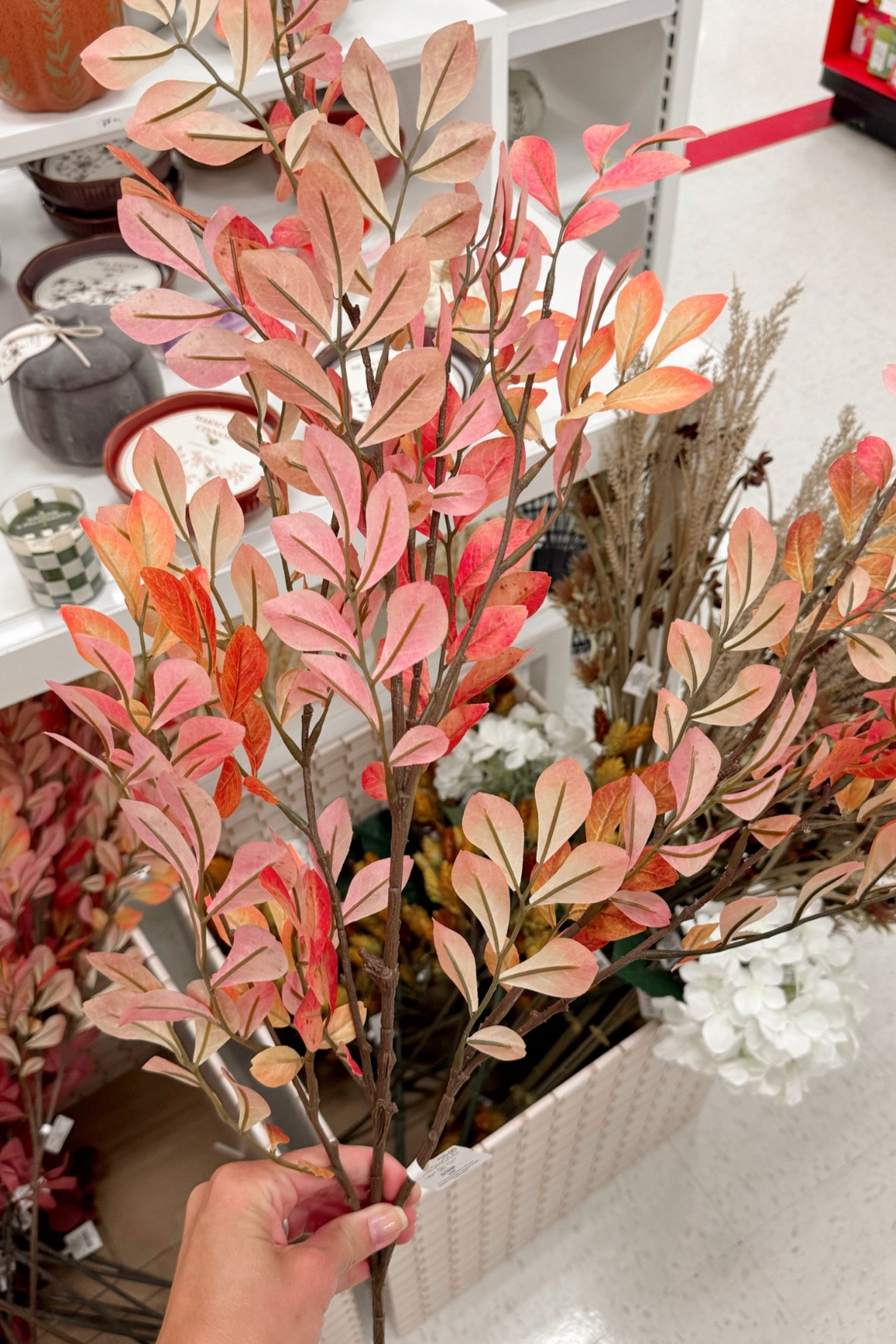 Fall decor at target 


#LTKHome #LTKSeasonal #LTKFindsUnder50