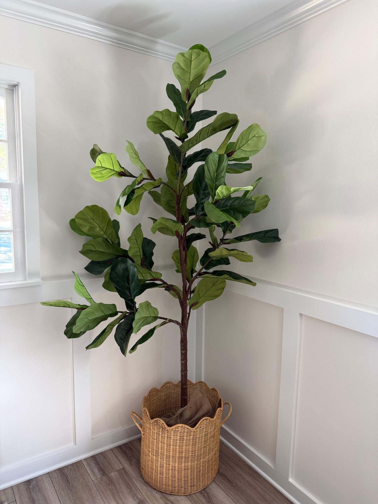 When you can’t keep live plants alive you buy a Faux fiddle leaf fig tree! And I love this one! The basket is the perfect size for it too! 

Note - I bought the 7 foot tree! 

#LTKSeasonal #LTKSaleAlert #LTKHome