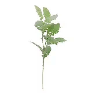 Green Dusty Miller Stem by Ashland® | Michaels Stores