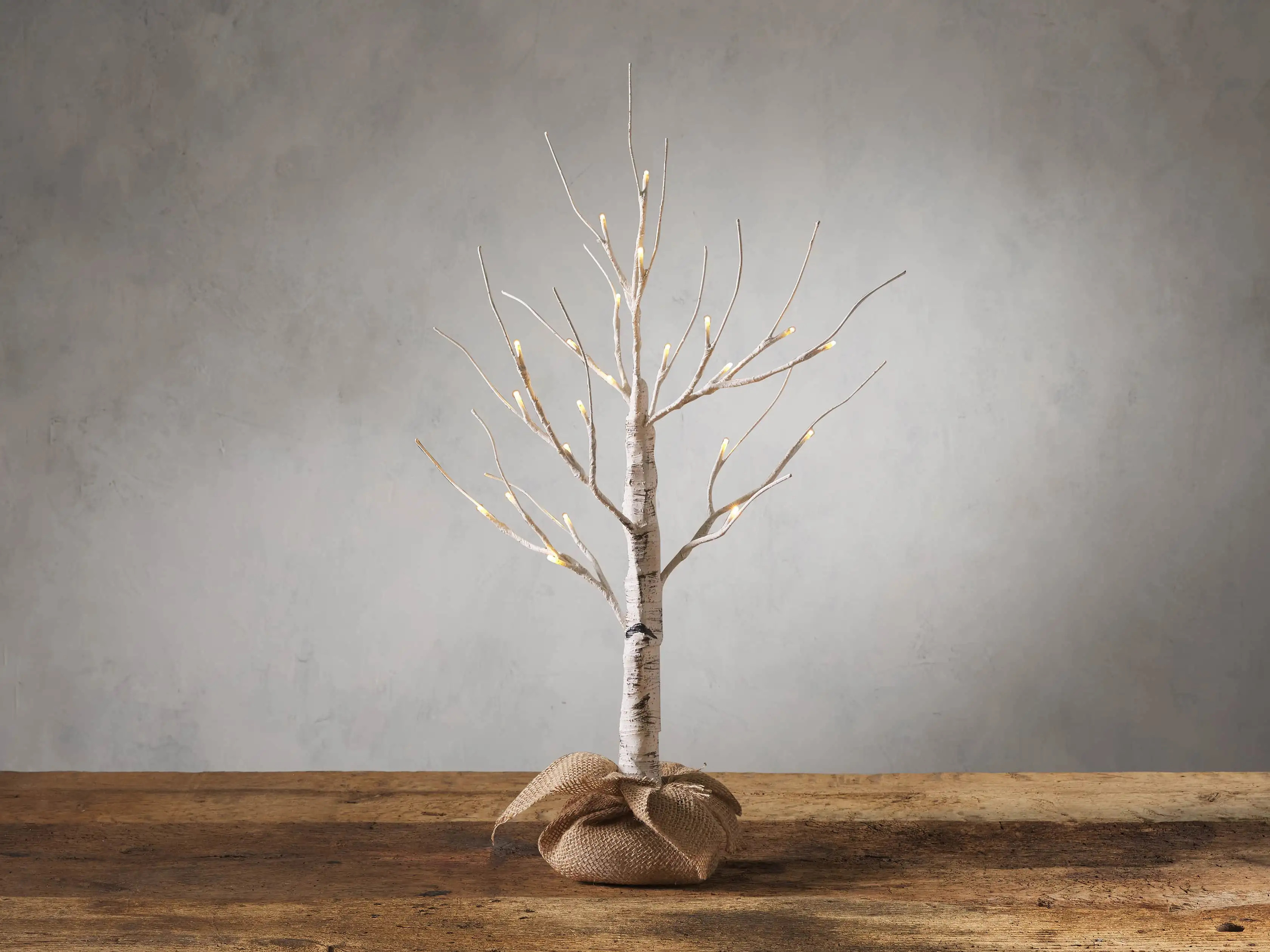 Aurora Lighted Birch Tree | Arhaus