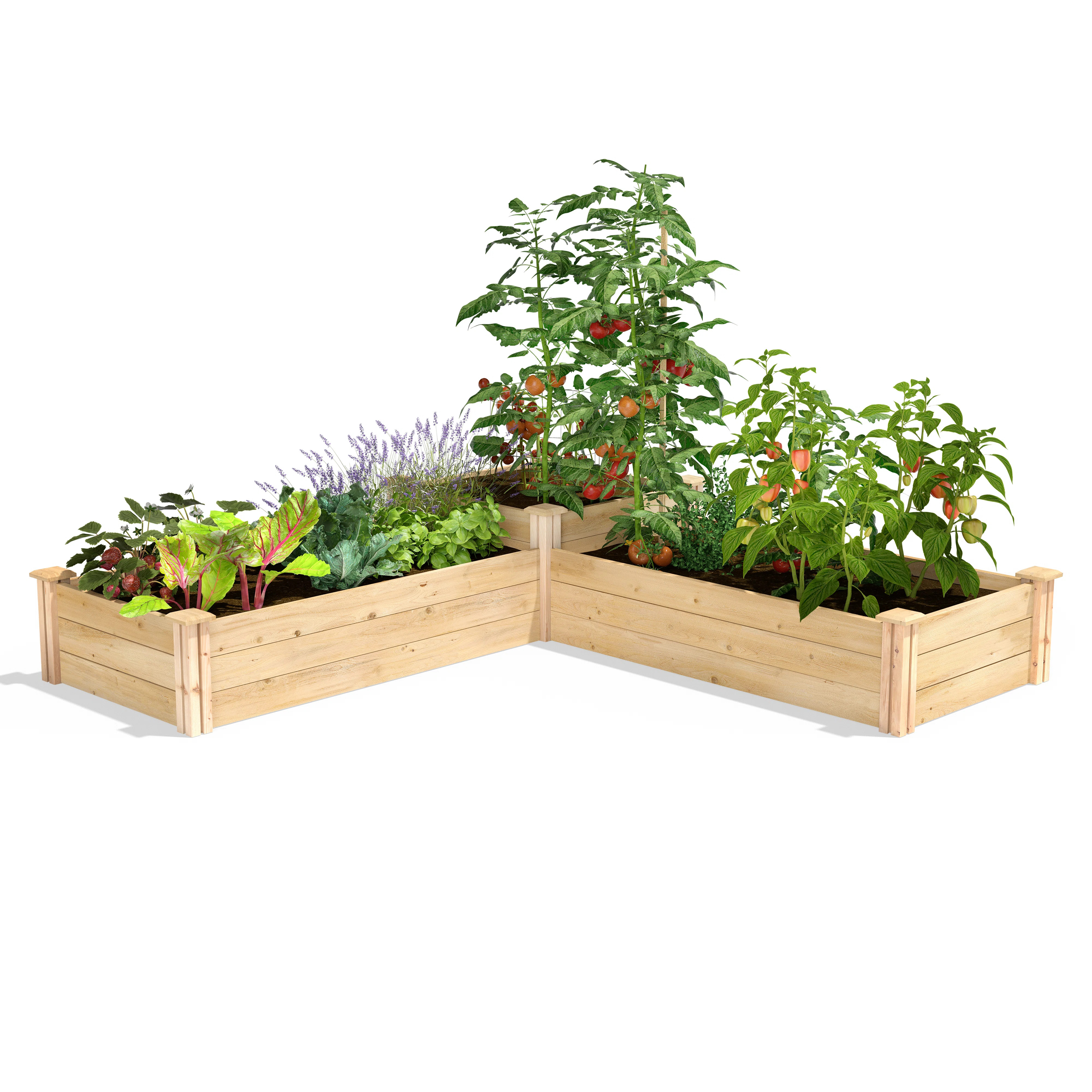 Wood Raised Garden Bed | Wayfair North America