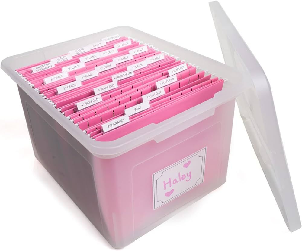 Generic Plastic Hanging Folder Bin, Pink, 1 Clear Plastic Bin, 25 Hanging Files, 25 Pre-Printed T... | Amazon (US)