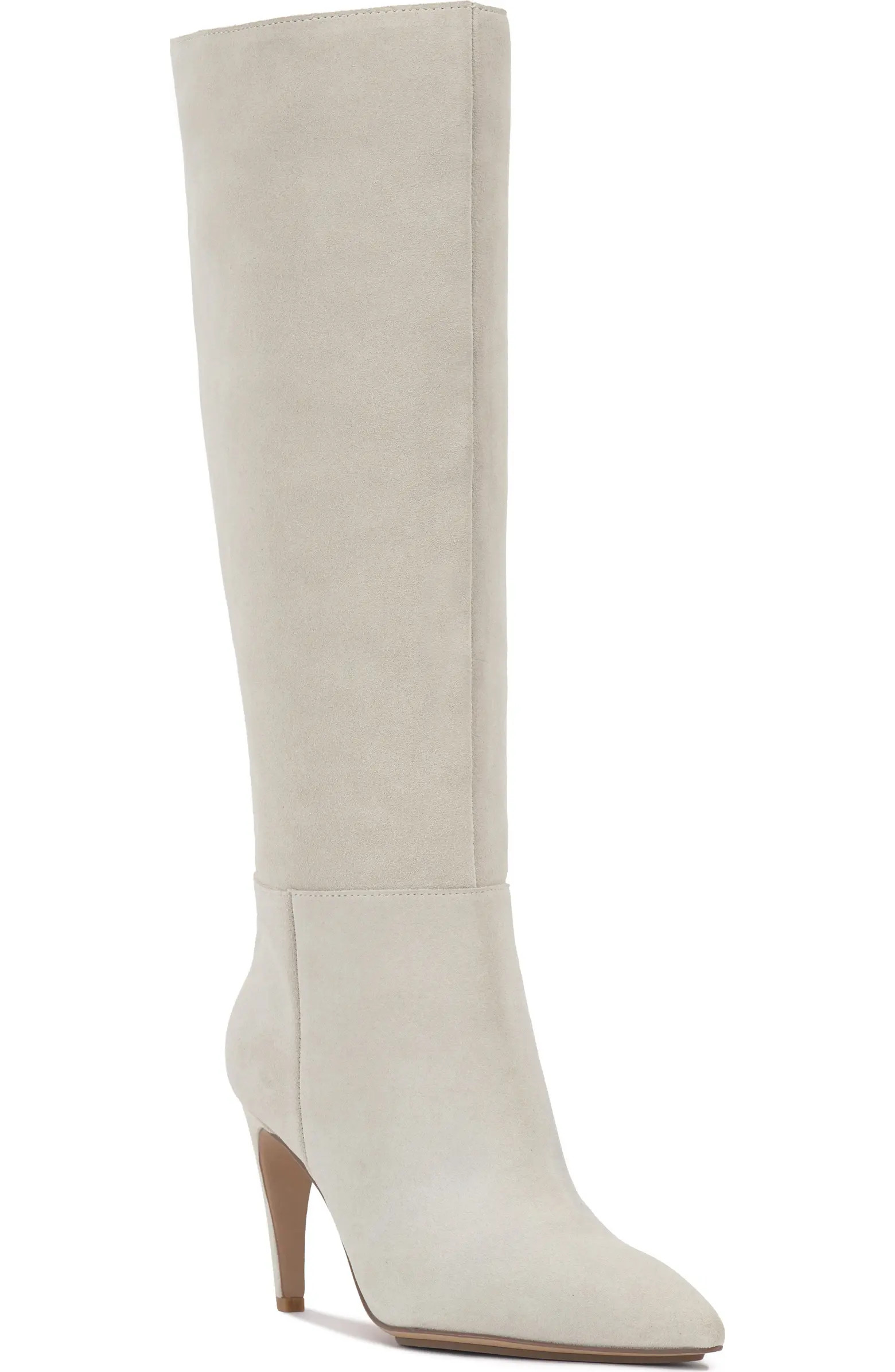 Brigitte Pointed Toe Knee High Boot (Women) | Nordstrom