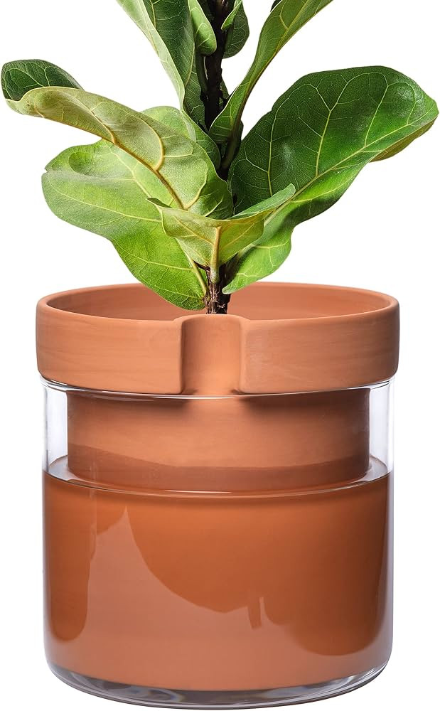 Phoenix Vine 10 Inch Self Watering Planter Pot, Terracotta Clay Pot with Glass Reservoir for Indo... | Amazon (US)