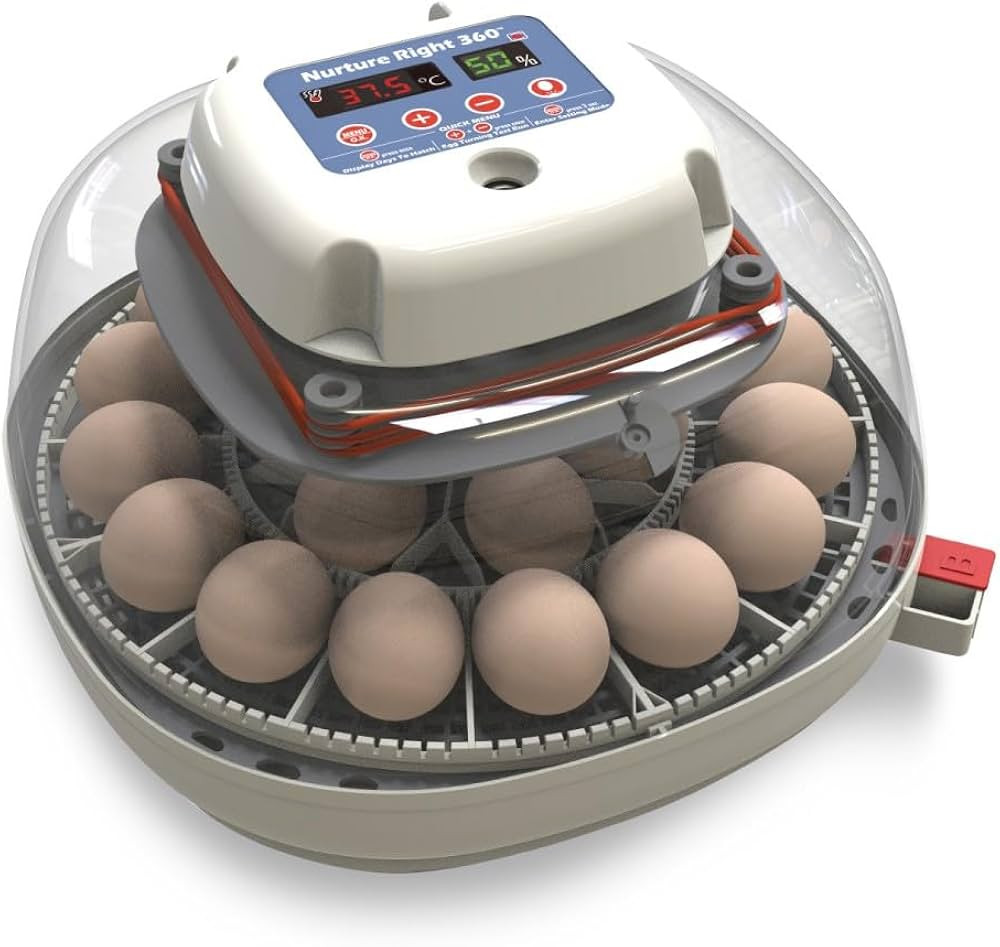 Harris Farms Nurture Right Egg Incubator for Hatching Chicks, Holds 12-22 Eggs, Automatic Turner ... | Amazon (US)