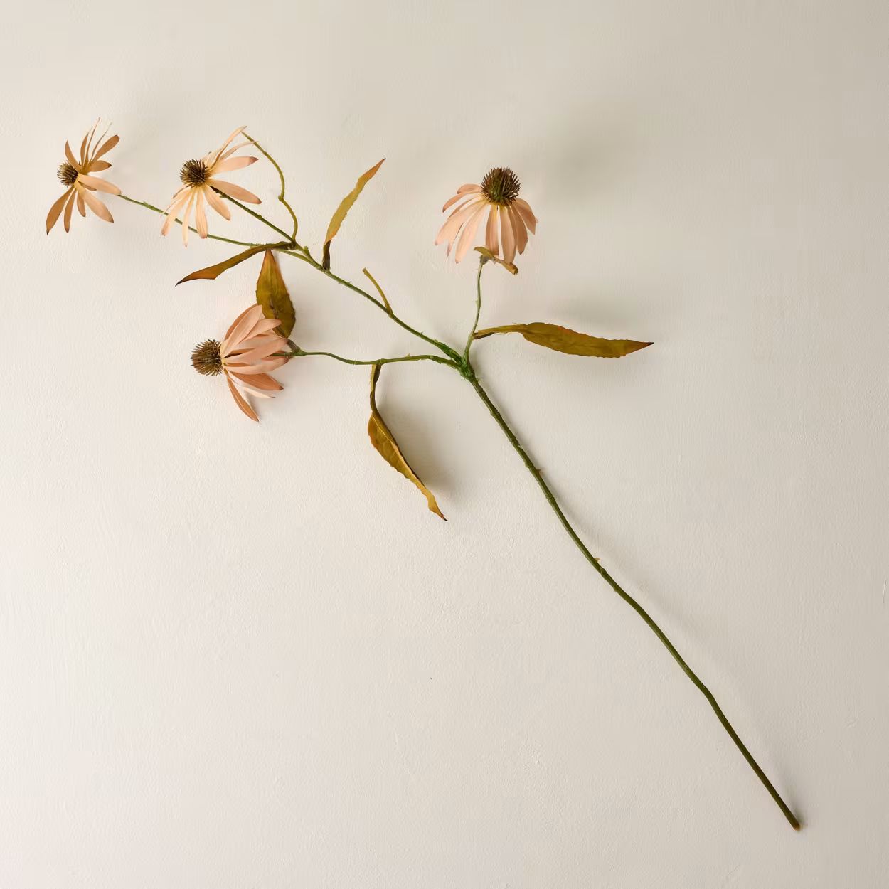 Fall Coneflower Stem | Magnolia