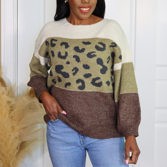 ANIMAL PRINT WITH COLOR BLOCKS SWEATER | Poshmark