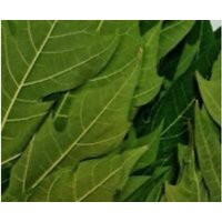 Fey Langue Chat Sèche | Etsy (US)