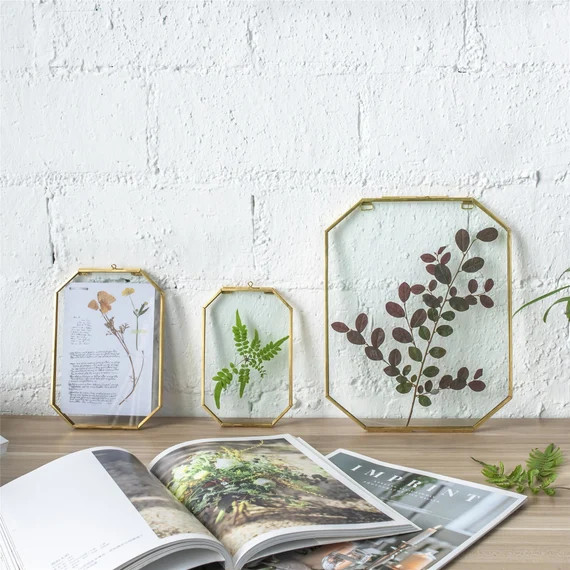 Wall Hanging Long Octagon Herbarium Brass Glass Frame for | Etsy Canada | Etsy (CAD)