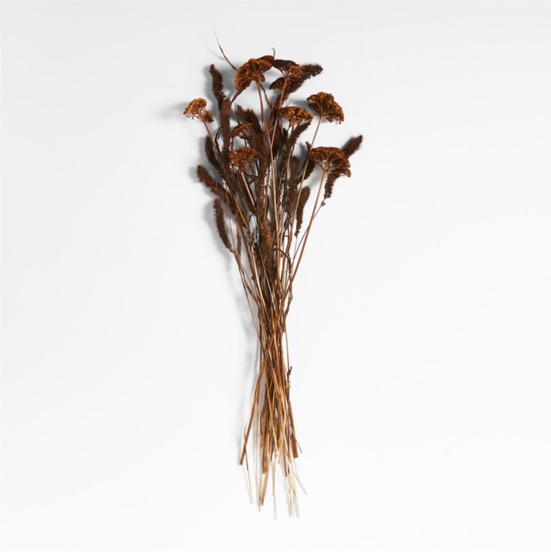 Dark Brown Yarrow & Setaria Dried Flower Bouquet + Reviews | Crate & Barrel | Crate & Barrel