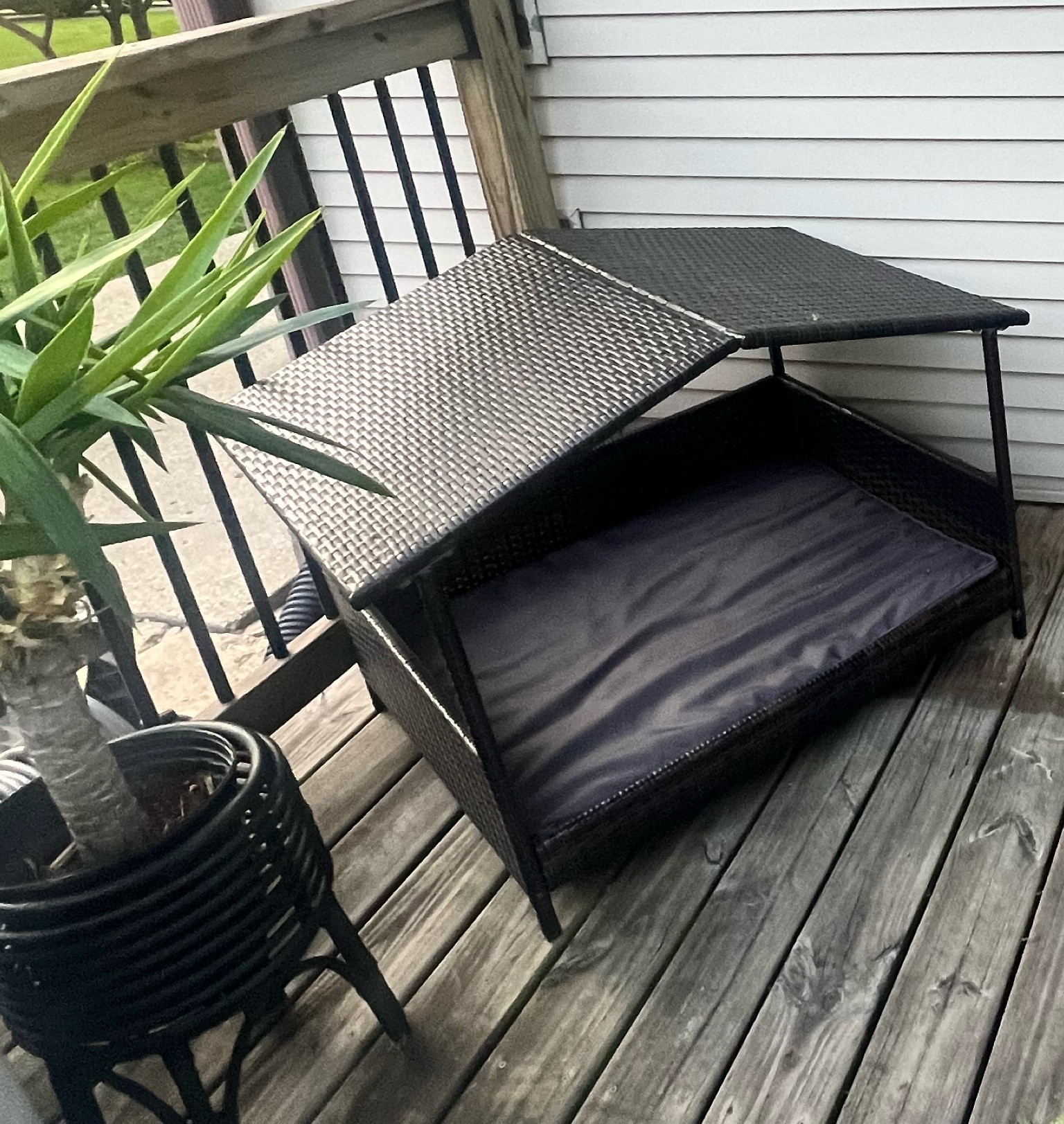 Bella’s new outdoor shade house. 
Perfect for her. 
She can sunbathe but stay cool when needed. 


#LTKHome #LTKSeasonal #LTKFindsUnder50