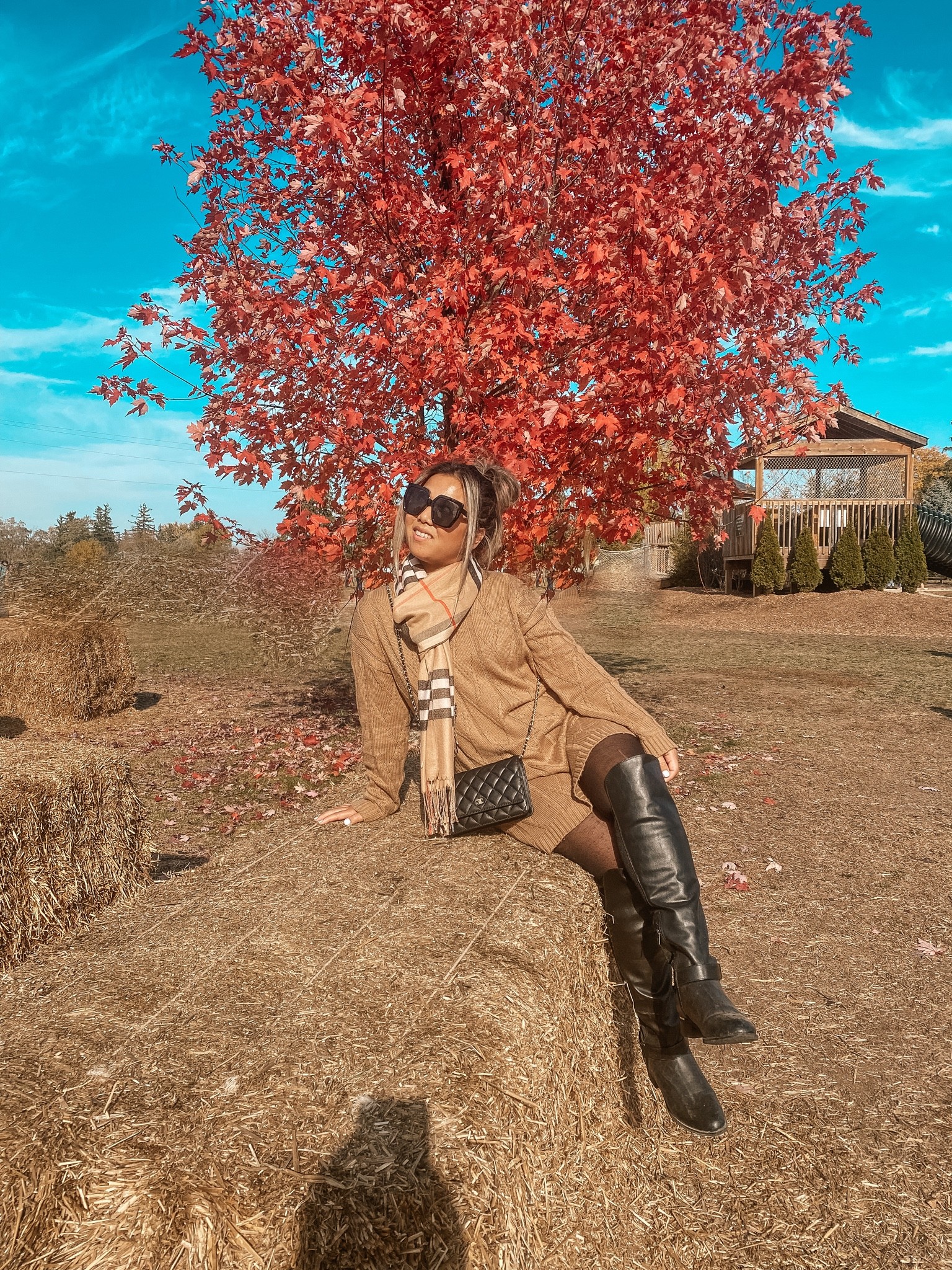 Fall Everyday Style
Brown Sweater Dress
Black Tights
Black High knee Boots
Chanel Bag 
Burberry Scarf 
Black Sunglasses 

#LTKitbag #LTKU #LTKSeasonal