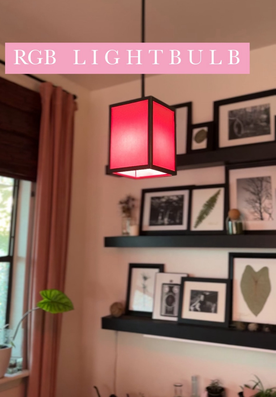 My favorite brand for rgb lights ✨
They make everything look so aesthetic !

#LTKHome #LTKxNSale