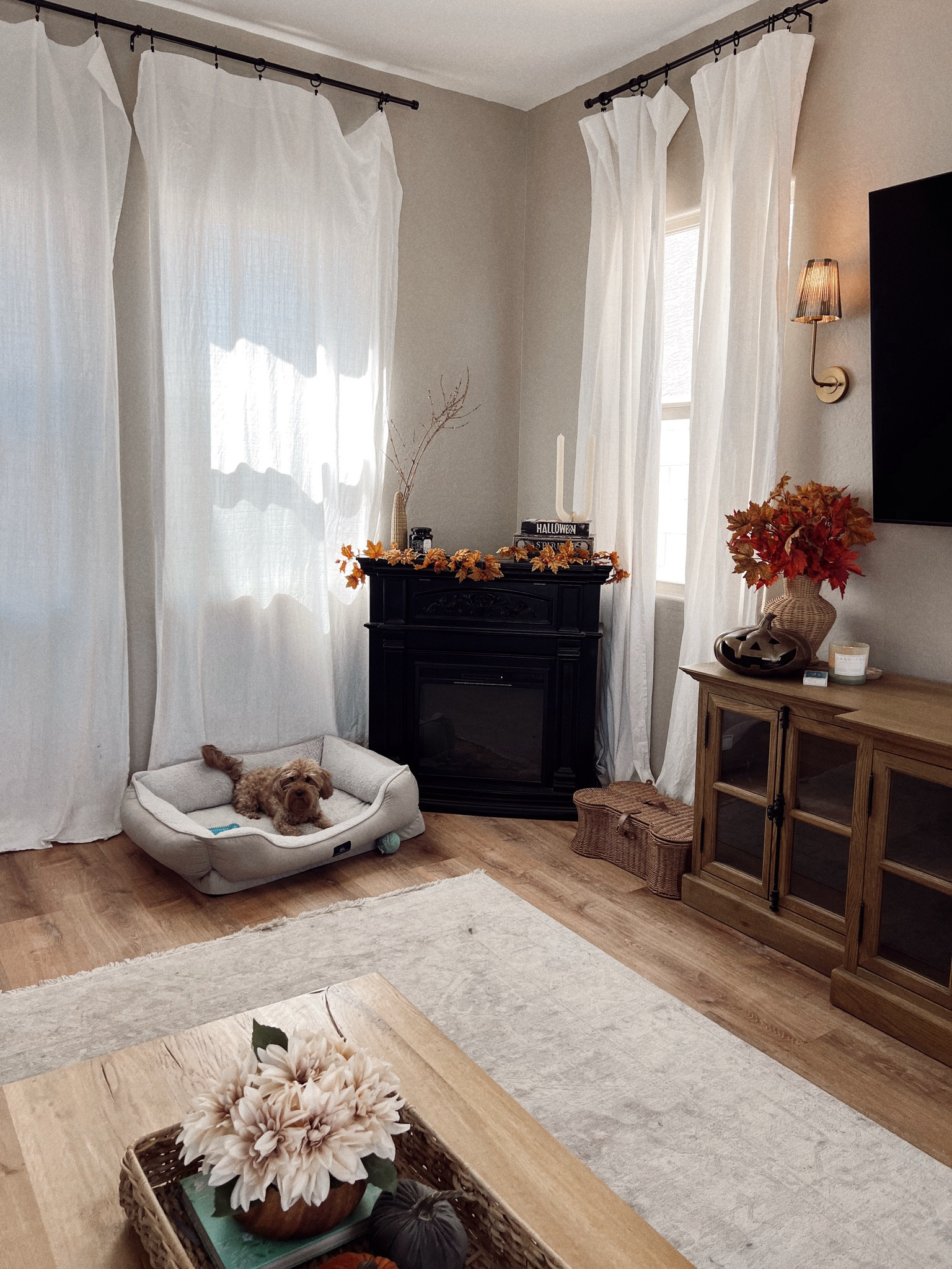 Freshly painted living room to match my fall vibes 🥰🤎🍁🍂

#LTKHome #LTKFallSale #LTKSeasonal