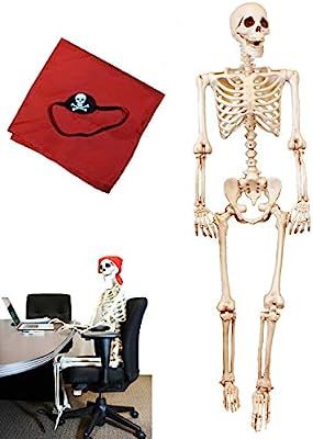 5 ft Pose-N-Stay Life Size Skeleton Full Body Realistic Human Bones with Posable Joints for Hallo... | Amazon (US)