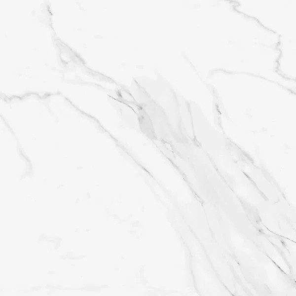 Cheyenne 24" x 24" Porcelain Marble Look Wall & Floor Tile | Wayfair North America