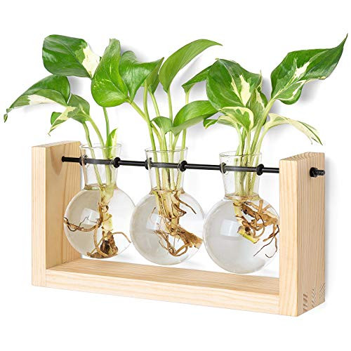 Mkono Plant Terrarium with Wooden Stand, Wall Hanging Glass Planter Desktop Plant Propagation Vase with Metal Swivel Retro Rack for Hydroponics Plants Home Office Decor (3 Bulb Vase) | Amazon (US)