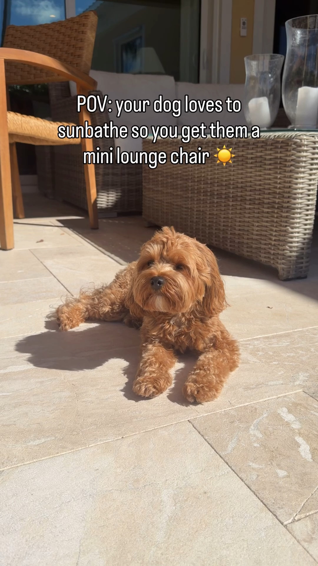 When your dog loves to sunbathe, of course you have to get them their own lounge chair!! 
Kids lounge chair, dog lounge chair, pet lounge chair 

#LTKdayinmylife #LTKHome