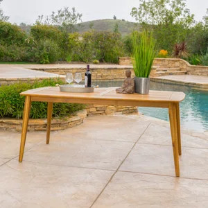 Telma Teak Dining Table | Wayfair North America