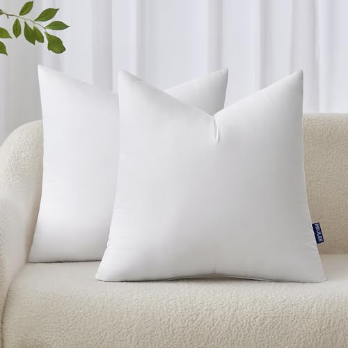 MIULEE 22x22 Inches Pillow Inserts Pack of 2, Decorative Throw Pillow Inserts for Couch | Amazon (US)