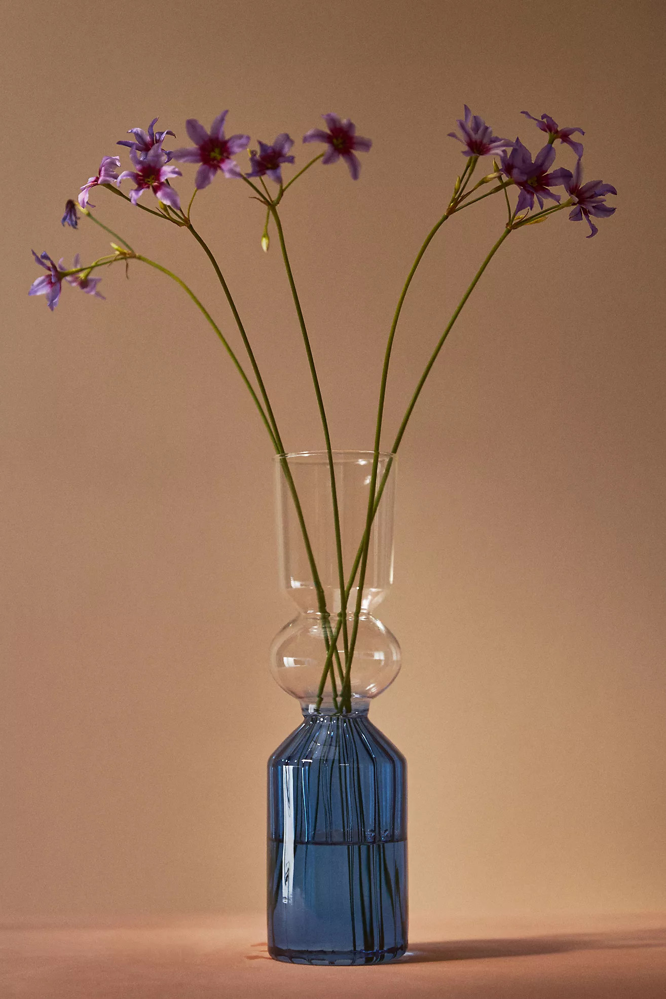 Calle Vase | Anthropologie (US)