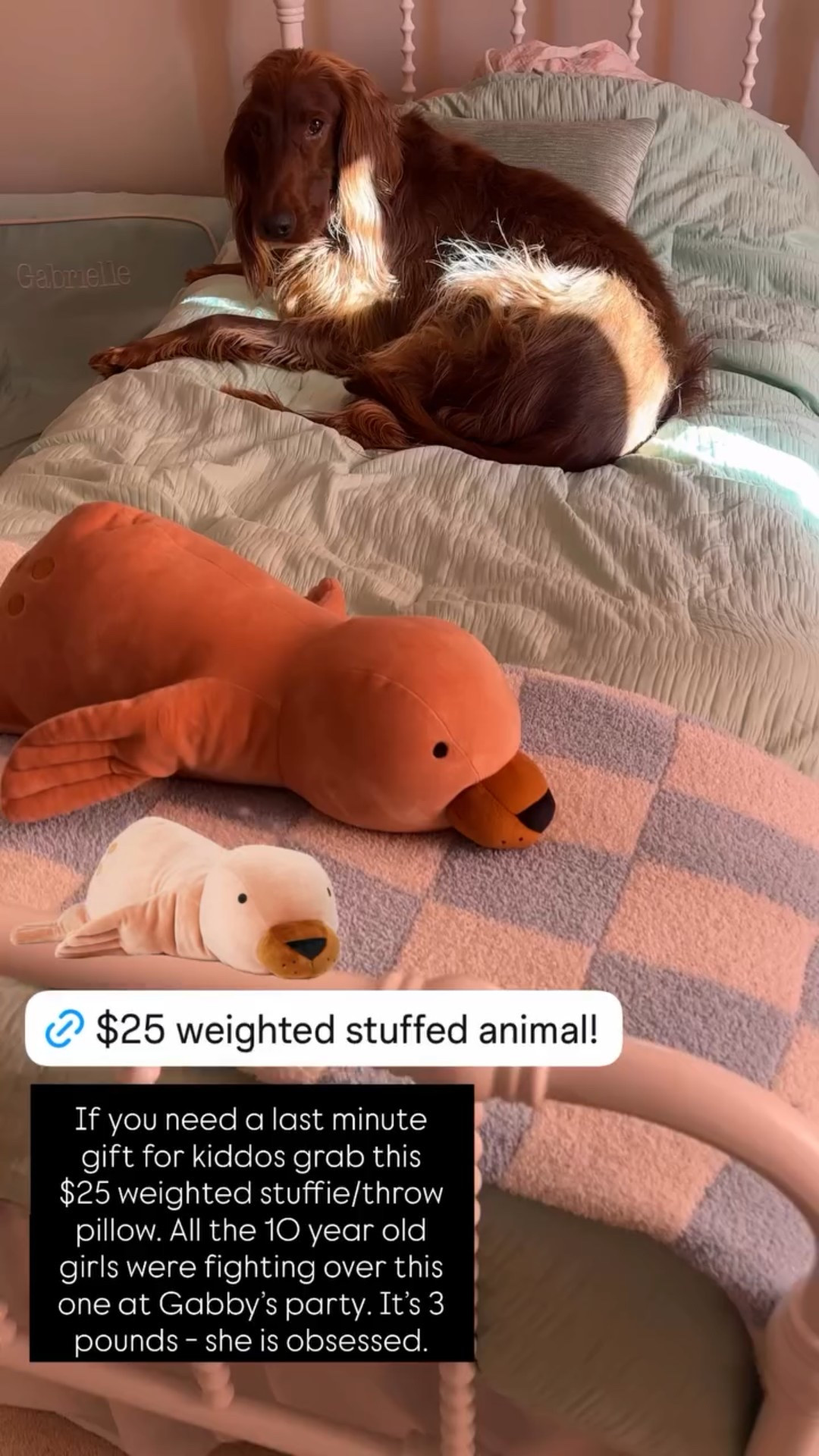 If you need a last minute gift for kiddos grab this $25 weighted stuffie/throw pillow. All the 10 year old girls were fighting over this one at Gabby’s party. It’s 3 pounds - she is obsessed.