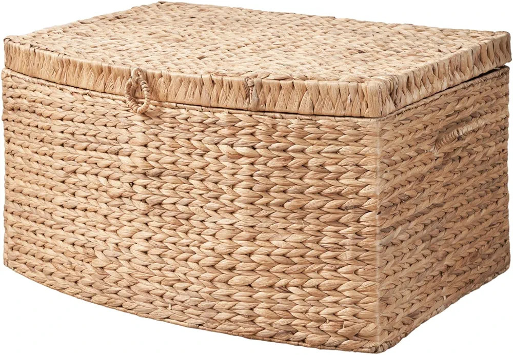 Ludmilla Rectangular Curve Water Hyacinth Woven Wicker Trunk with Handles (Natural Brown - 26 x 19 x 14 in) | Amazon (US)