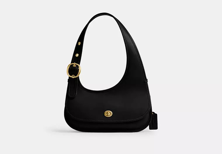 Cashin Carry Crescent Bag | Coach (CA)
