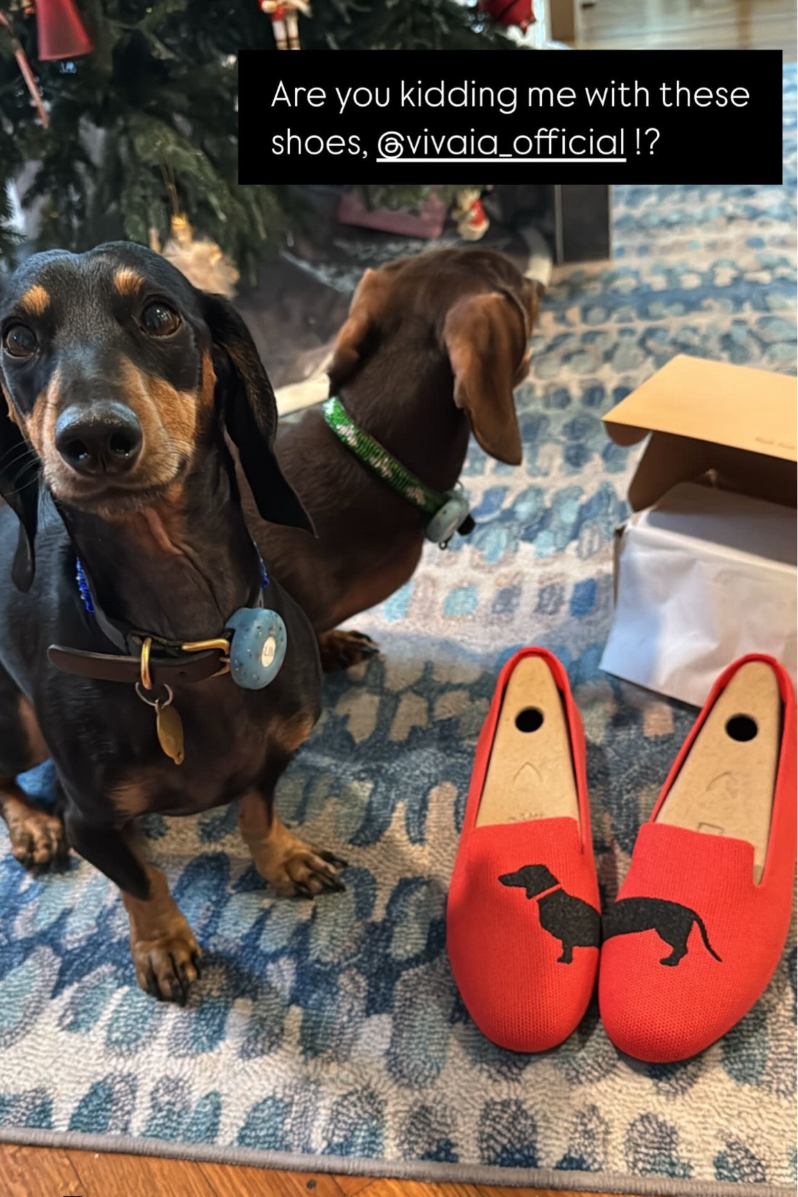 If you have a dog or dachshund lover in your family, these Vivaia flats are the ticket!! I am absolutely obsessed. Perfectly comfortable, stretchy and perfect for walking around! 

Shoes dog gifts dachshund flats walking loafers 

#LTKShoeCrush #LTKGiftGuide