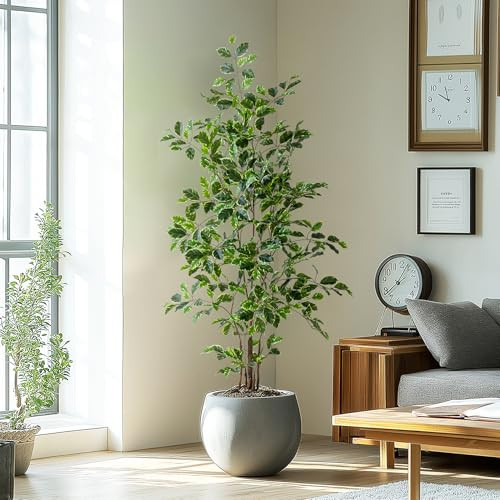 Bailikang Artificial Ficus Tree Indoor 5ft, Large Potted Faux Tree with Realistic Silk Leaves & Trunk for Home Office, Living Room Corner Decor | Amazon (US)