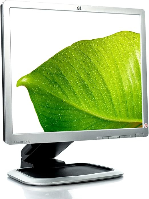 HP Compaq LA1951G 19" TFT Active Matrix LCD Monitor (Carbonite Black) | Amazon (US)