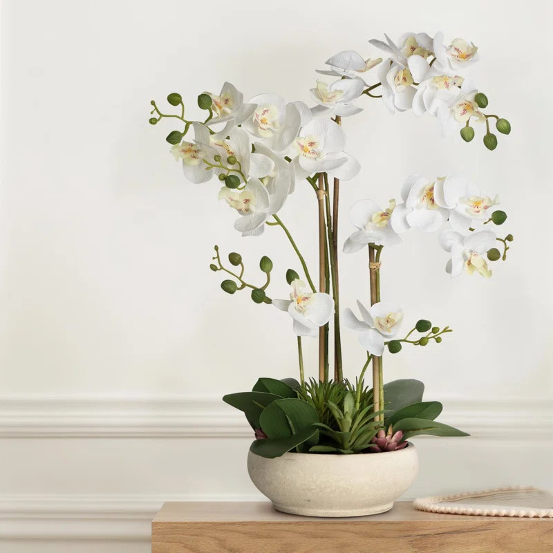 Primrue Silk Orchid Arrangement In Pot | Wayfair | Wayfair North America