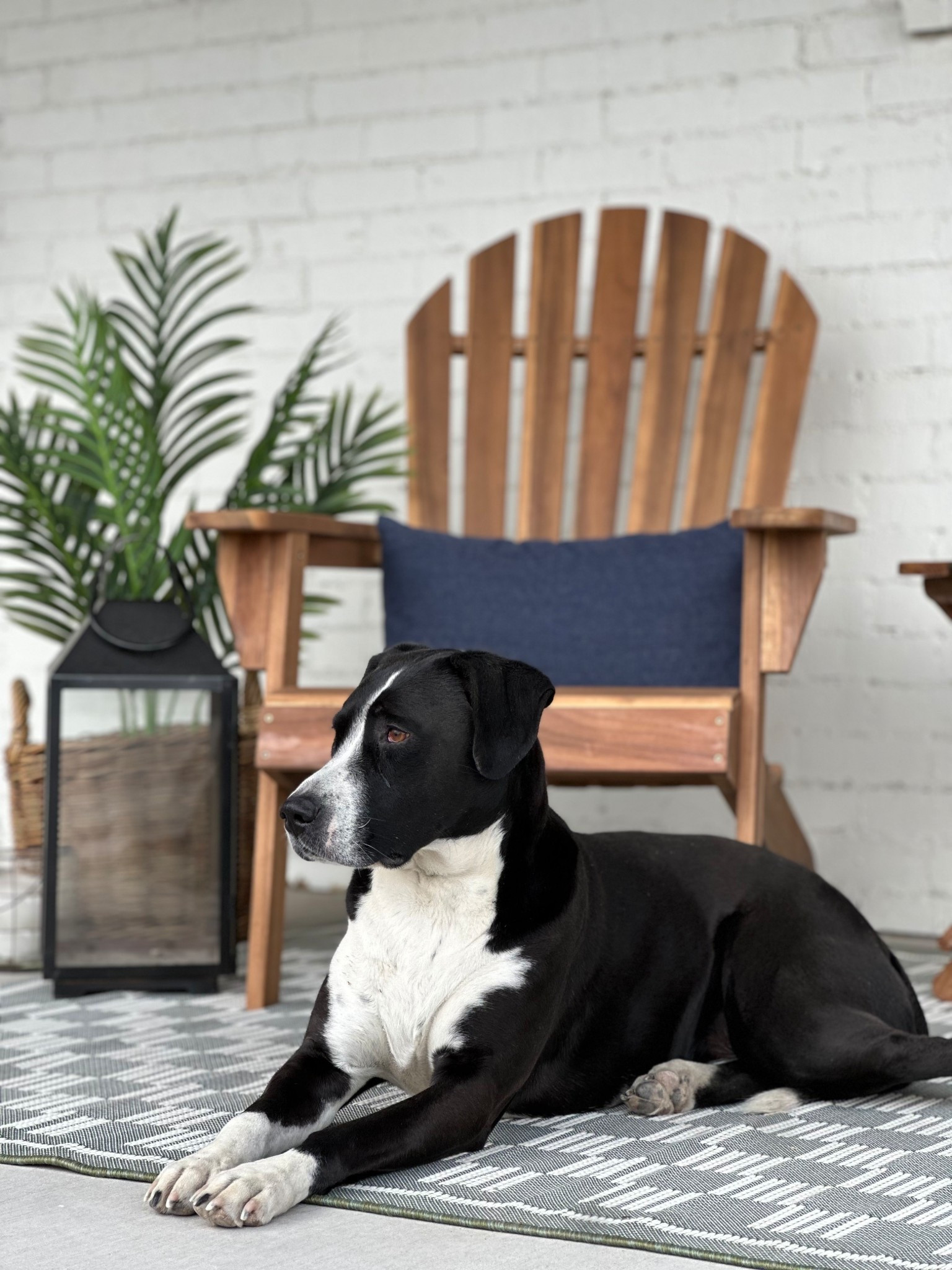 At home, patio decor, outdoor living, outdoor furniture, chairs, outdoor planter, outdoor pillows

#LTKStyleTip #LTKHome #LTKSeasonal