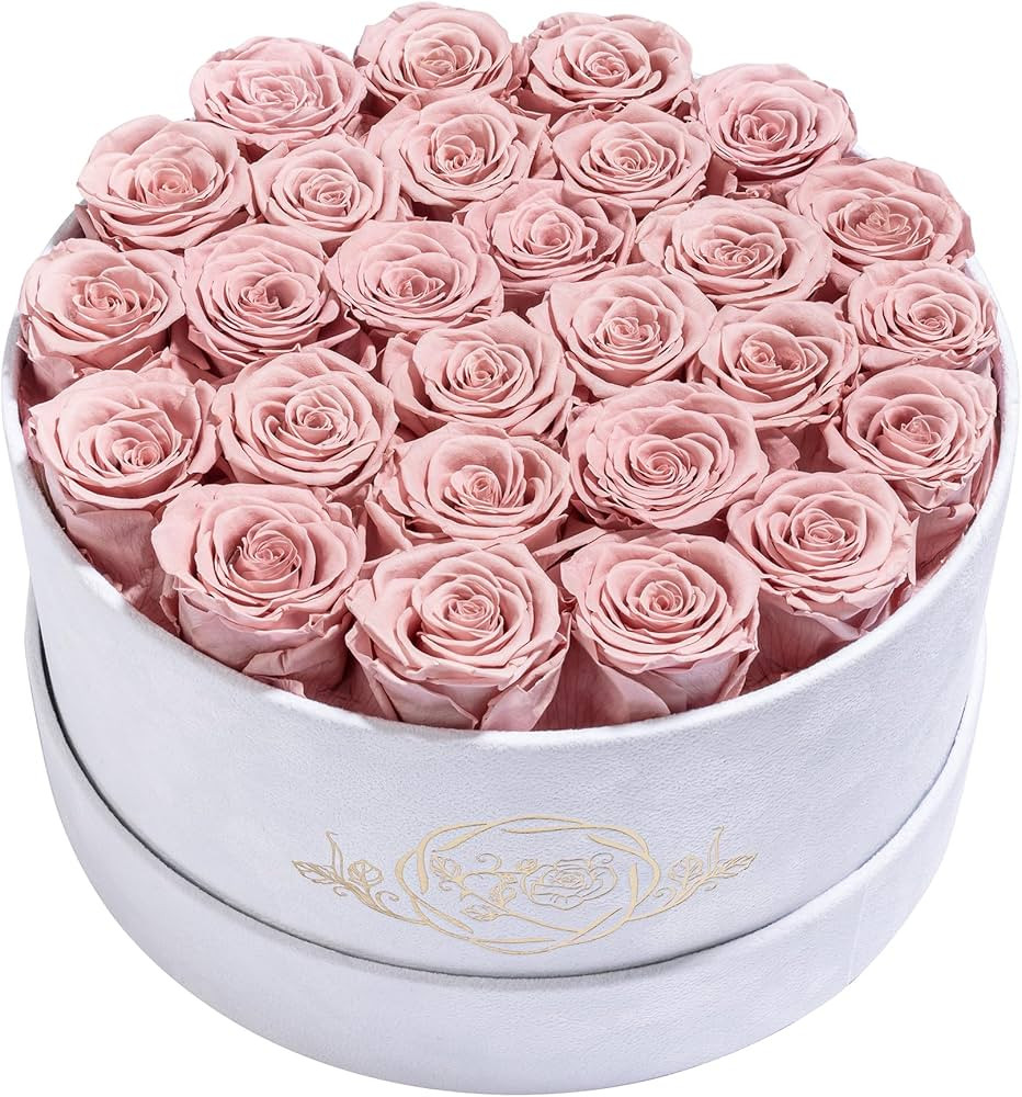 27 Roses in a Luxury Suede Box, Mother Day Flowers Gifts for Mom, Preserved Flowers for Her, Birt... | Amazon (US)